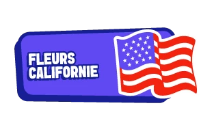 Fleurs Californie